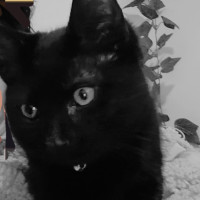 Photo of Milly & Tilly