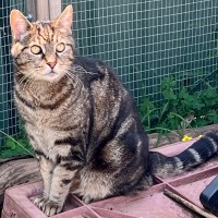 Photo of Jagger   Can Transport To You 