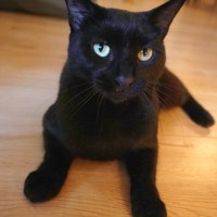 Photo of Mimi