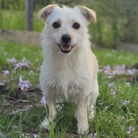 Photo of Lenore