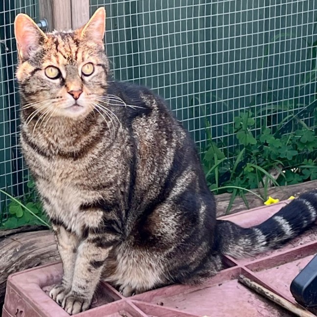 Photo of Jagger   Can Transport To You 