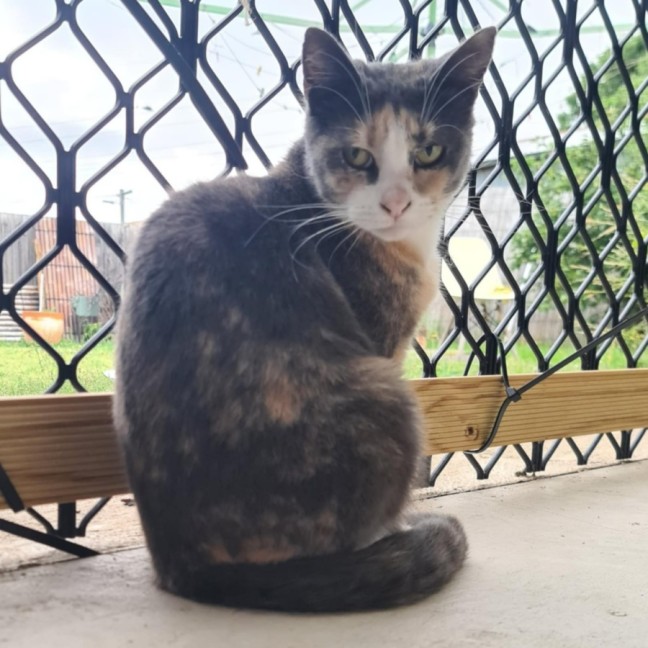 Photo of Romany 🌷🌷🌷