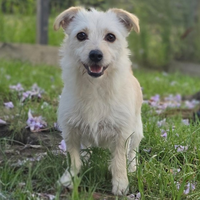 Photo of Lenore