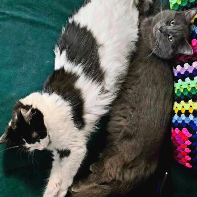 Photo of 🩵Todo & 🩷Georgia