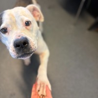 Photo of Betty