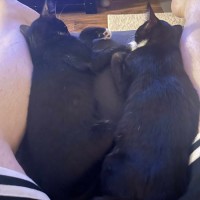 Photo of Max And Oliver