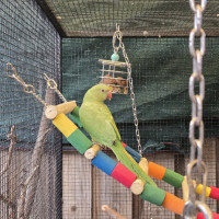 Photo of Sussy