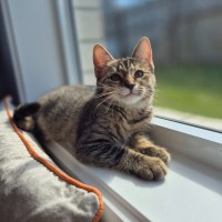Photo of Rocket