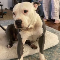 Photo of Susie