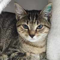 Photo of 🍧 Crackle 5788 🍧