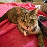 Photo of Remmie & Rosie