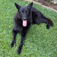Photo of Indi
