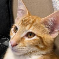 Photo of Bruce