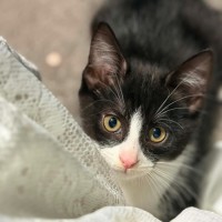 Photo of Miggle
