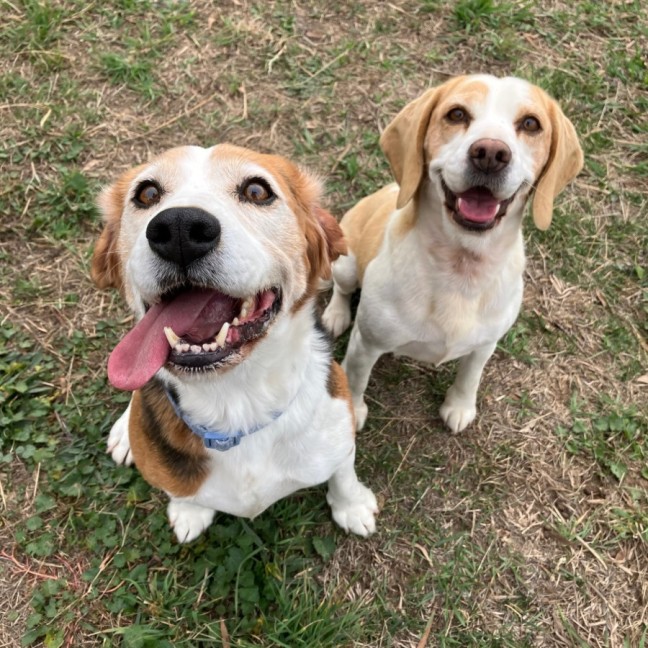 Photo of Enzo And Mia