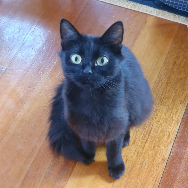 Photo of Thunder And Storm