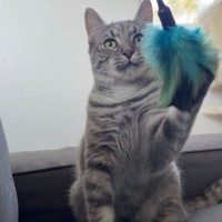 Photo of Jake