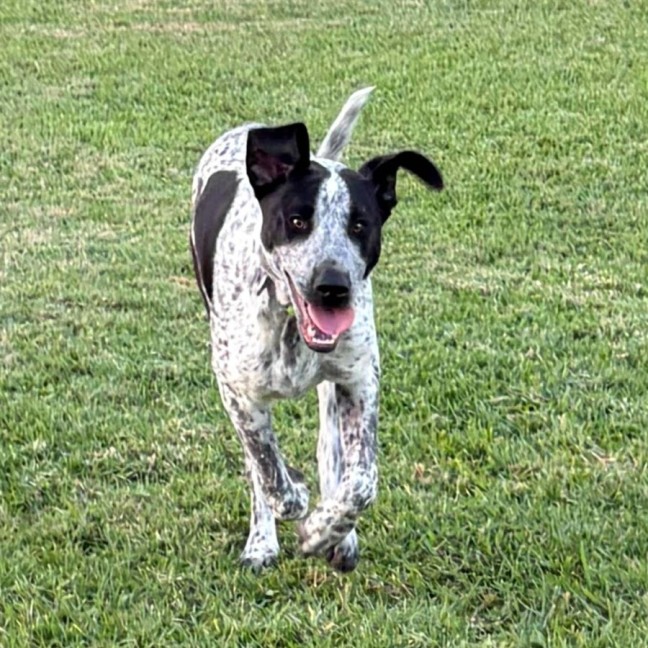Photo of Buckley 