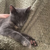 Photo of Chloe