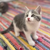 Photo of 💛 Maeve 💛