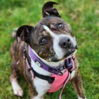 Photo of 🌷 Bonnie 5211 🌷