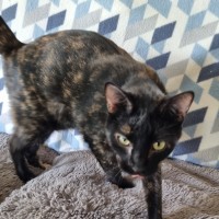 Photo of Mae
