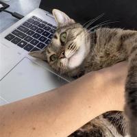 Photo of Sabrina