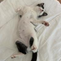 Photo of Chilli