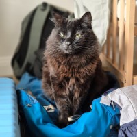 Photo of Clive   In Foster Care In Cheltenham