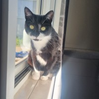 Photo of Mia