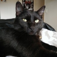 Photo of Cas & Frankie