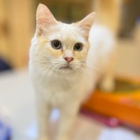 Photo of Dorian