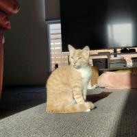 Photo of Roco Jacob