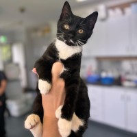 Photo of Burt