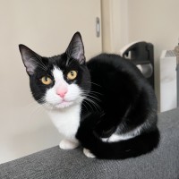 Photo of Jalapeno