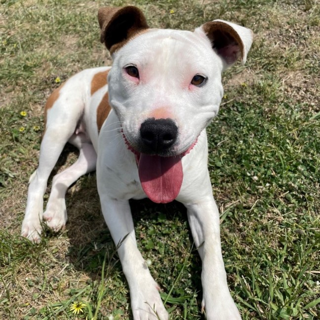Photo of Bonnie