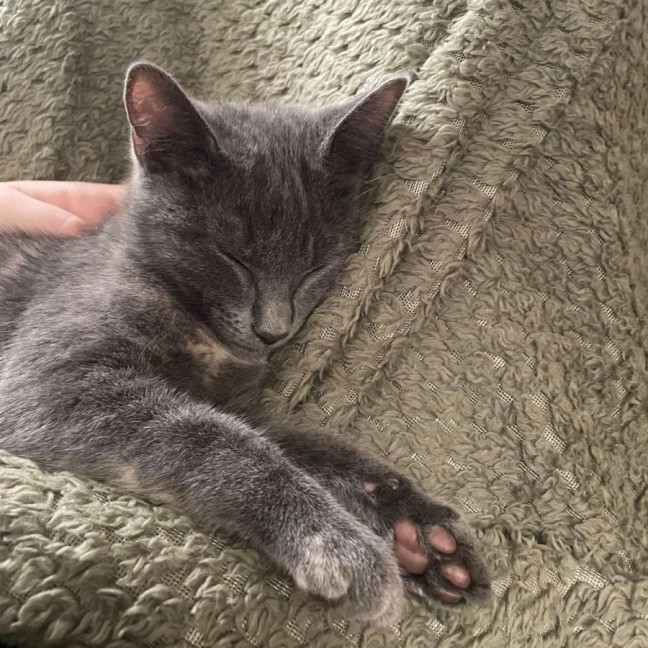 Photo of Chloe