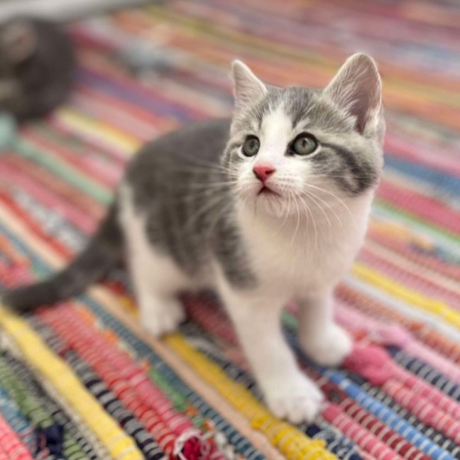 Photo of 💛 Maeve 💛