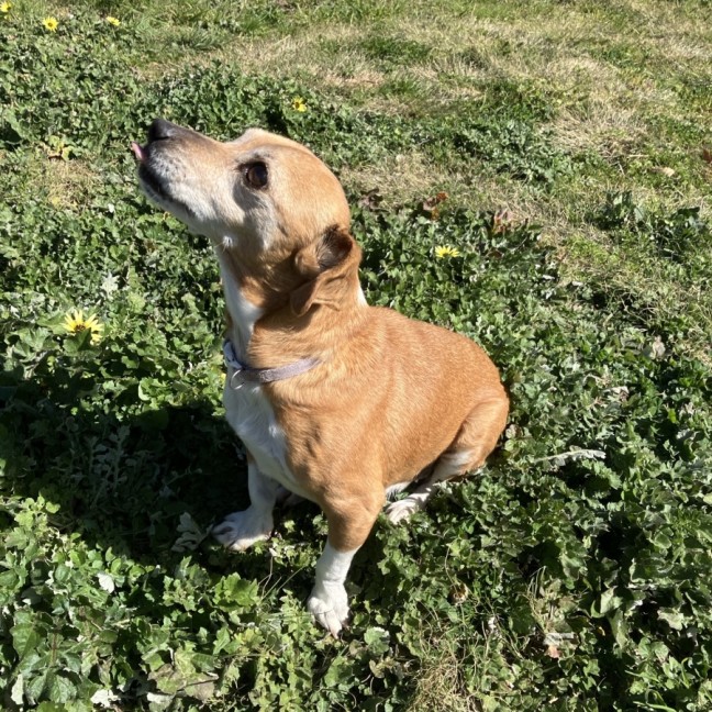 Photo of Lexi