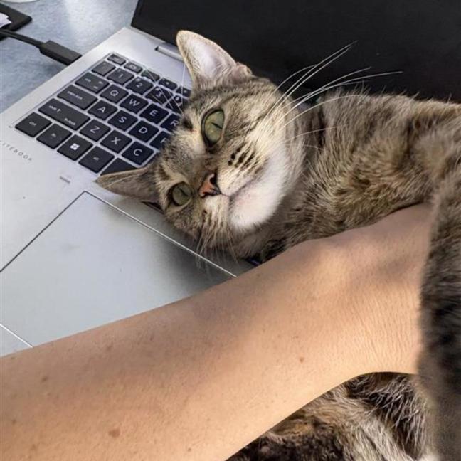 Photo of Sabrina