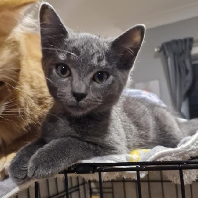 Photo of Stormy 🧢⚡️