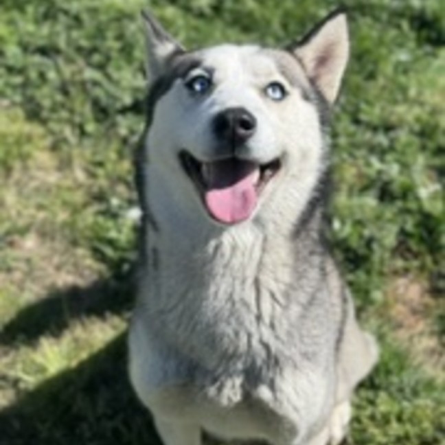 Photo of Pippa