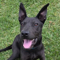 Photo of Zeke