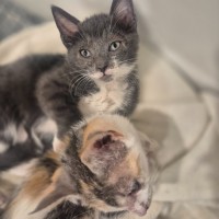 Photo of Hazel And Cloud