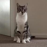 Photo of Ellie