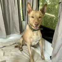 Photo of Sunny