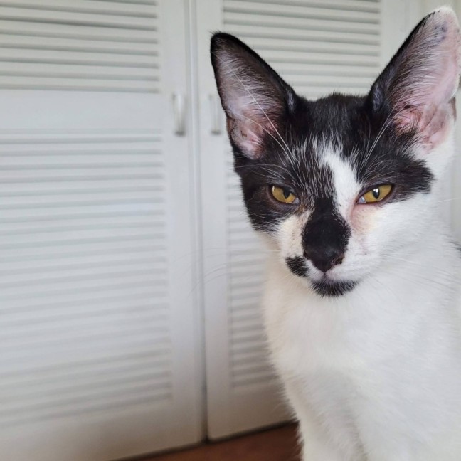 Photo of Manny
