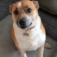 Photo of Sally Brown