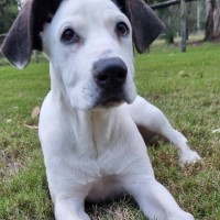 Photo of Sally