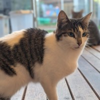 Photo of Princess Mummy